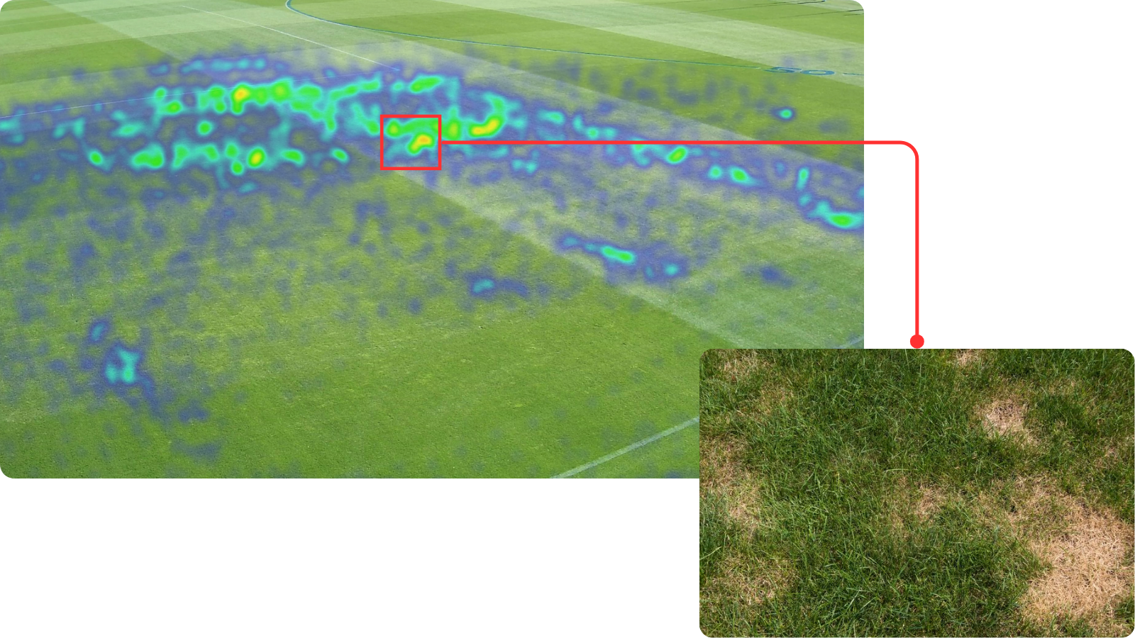 Sports Field Monitoring Turf Condition